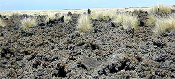 Blocky lava Blocky lava