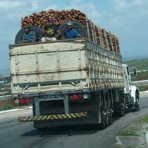 Cargo should be secured in trucks Cargo should be secured in trucks