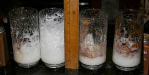 Whipped milk and powders after 10 minutes Whipped milk and powders after 10 minutes